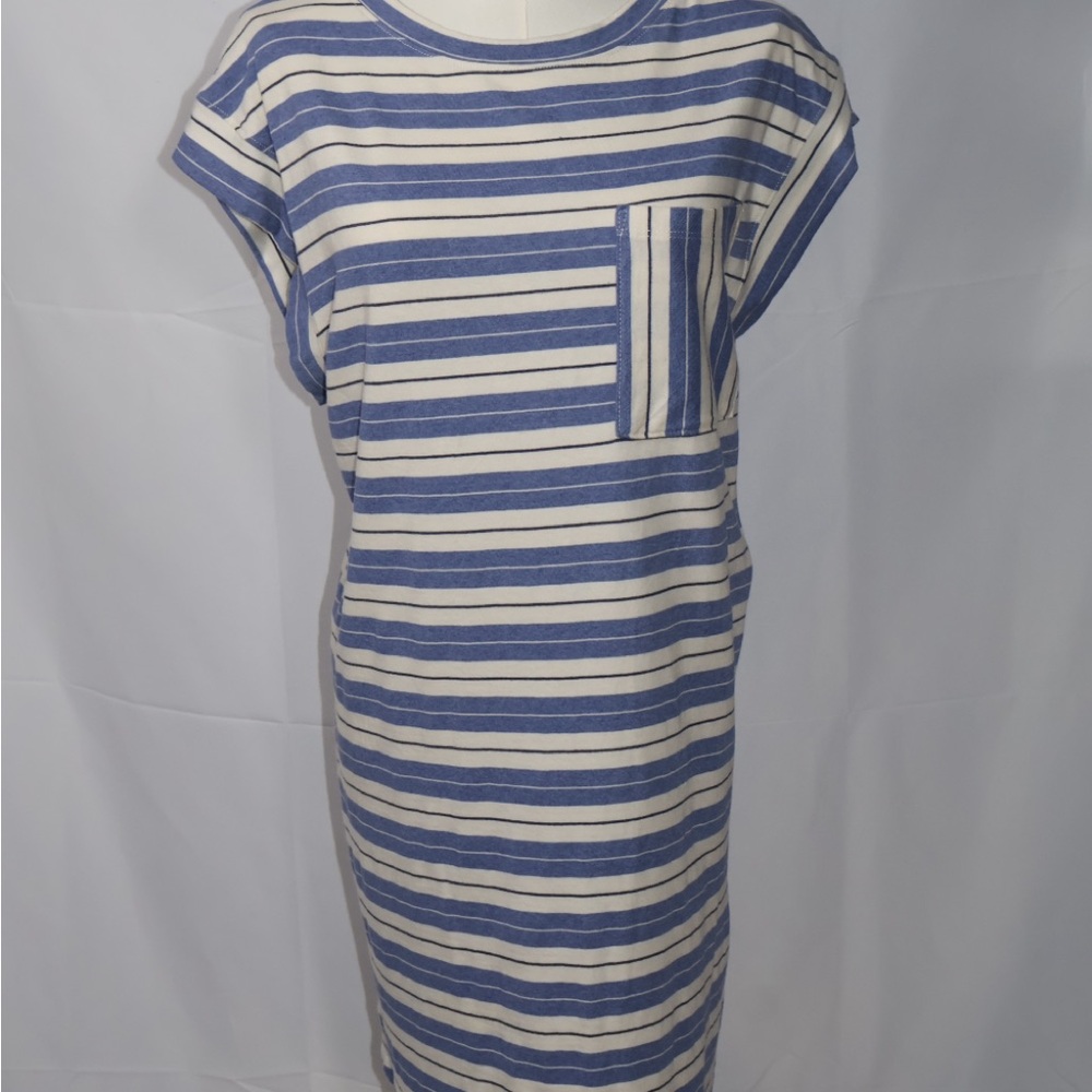 Striped Blue and White Women's Dress